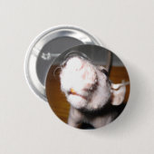 Badge Rond 5 Cm Amour chauve de rat (Devant & derrière)