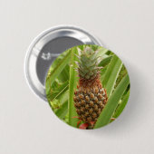 Badge Rond 5 Cm Ananas sauvage Fruit tropical dans la nature (Devant & derrière)