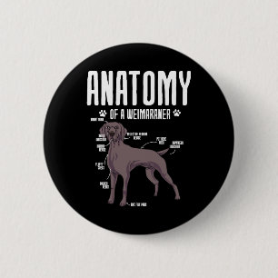 Badge Rond 5 Cm Anatomie D'Un Weimaraner