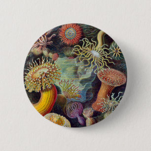 Badge Rond 5 Cm Anémone de mer Nature scientifique Océan
