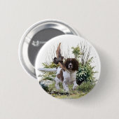 Badge Rond 5 Cm Anglais Springer Spaniel (Devant & derrière)