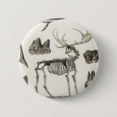 Badge Rond 5 Cm animal, os, structure, squelette, os, anatomie, (Devant)