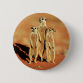 Badge Rond 5 Cm Animaux de bébés cutest | 3 Meerkats (Devant)