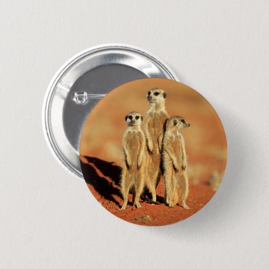 Badge Rond 5 Cm Animaux de bébés cutest | 3 Meerkats (Devant & derrière)