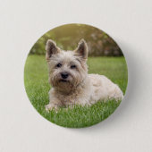 Badge Rond 5 Cm Animaux de bébés cutest | Cairn Terrier Dog (Devant)