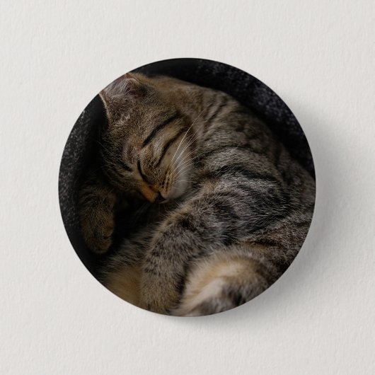 Badge Rond 5 Cm Animaux de bébés cutest | Chat Tabby Dormant (Devant)