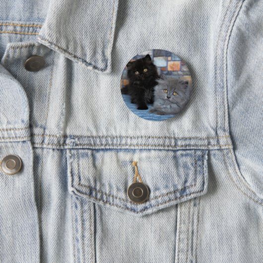 Badge Rond 5 Cm Animaux de bébés cutest | Chatons persans sur couv (En situation)