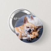 Badge Rond 5 Cm Animaux de bébés cutest | Chihuahua Chig aux cheve (Devant & derrière)