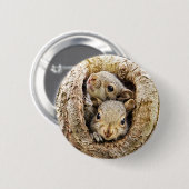 Badge Rond 5 Cm Animaux de bébés cutest | Écureuils curieux (Devant & derrière)
