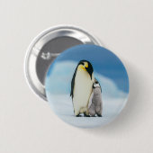 Badge Rond 5 Cm Animaux de bébés cutest | Empereur Penguin Chick (Devant & derrière)