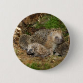 Badge Rond 5 Cm Animaux de bébés cutest | Famille Hérisson (Devant)
