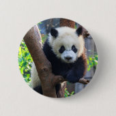 Badge Rond 5 Cm Animaux de bébés cutest | Géant Panda Cub (Devant)