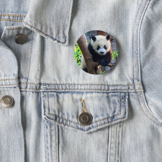 Badge Rond 5 Cm Animaux de bébés cutest | Géant Panda Cub (En situation)