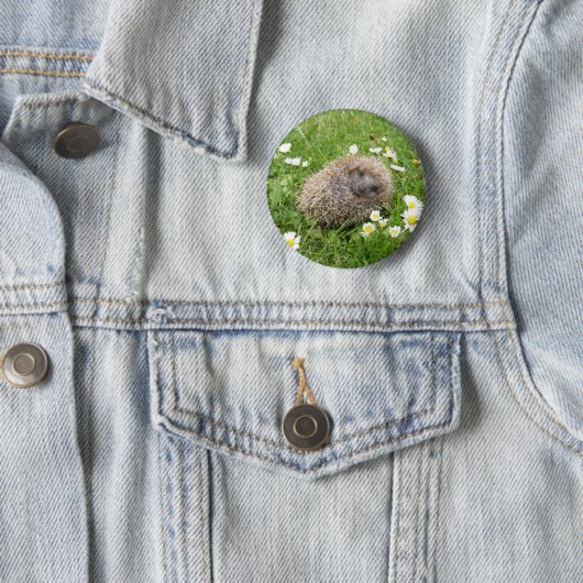 Badge Rond 5 Cm Animaux de bébés cutest | Hérisson espagnol (En situation)