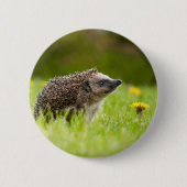 Badge Rond 5 Cm Animaux de bébés cutest | Hérisson européen (Devant)