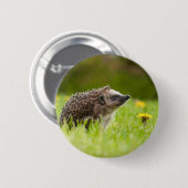 Badge Rond 5 Cm Animaux de bébés cutest | Hérisson européen (Devant & derrière)