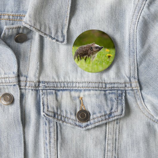 Badge Rond 5 Cm Animaux de bébés cutest | Hérisson européen (En situation)