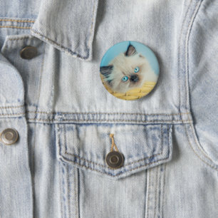 Badge Rond 5 Cm Animaux de bébés cutest Himalaya Seal Point Cat