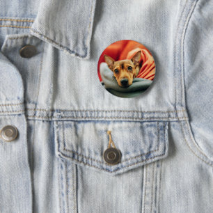 Badge Rond 5 Cm Animaux de bébés cutest   Miniature Pinscher