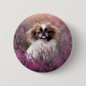 Badge Rond 5 Cm Animaux de bébés cutest | Pekingese Puppy (Devant)