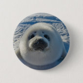 Badge Rond 5 Cm Animaux de bébés cutest | Phoque bébé (Devant)