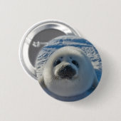 Badge Rond 5 Cm Animaux de bébés cutest | Phoque bébé (Devant & derrière)