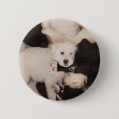 Badge Rond 5 Cm Animaux de bébés cutest | Pile de marionnettes (Devant)