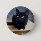 Badge Rond 5 Cm Animaux de bébés cutest | Portrait d'un chat noir (Devant)