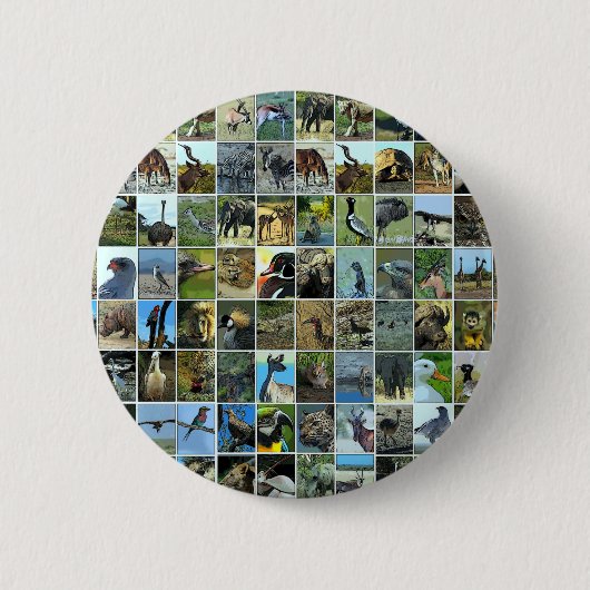 Badge Rond 5 Cm Animaux du monde (Devant)