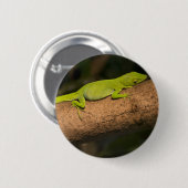 Badge Rond 5 Cm Anole géante jamaïcaine (Devant & derrière)