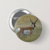 Badge Rond 5 Cm Antilope d'Amérique A1 (Devant & derrière)