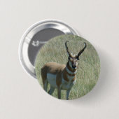 Badge Rond 5 Cm Antilope d'Amérique A13 (Devant & derrière)