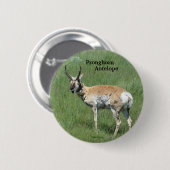 Badge Rond 5 Cm Antilope d'Amérique A3 (Devant & derrière)