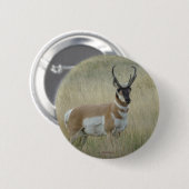 Badge Rond 5 Cm Antilope d'Amérique A8 (Devant & derrière)