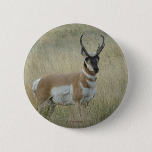 Badge Rond 5 Cm Antilope d'Amérique A8