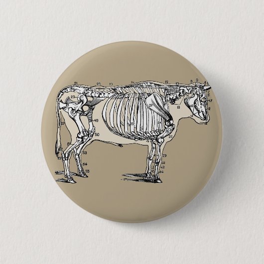 Badge Rond 5 Cm Antique Cow Skeleton Bones (Devant)