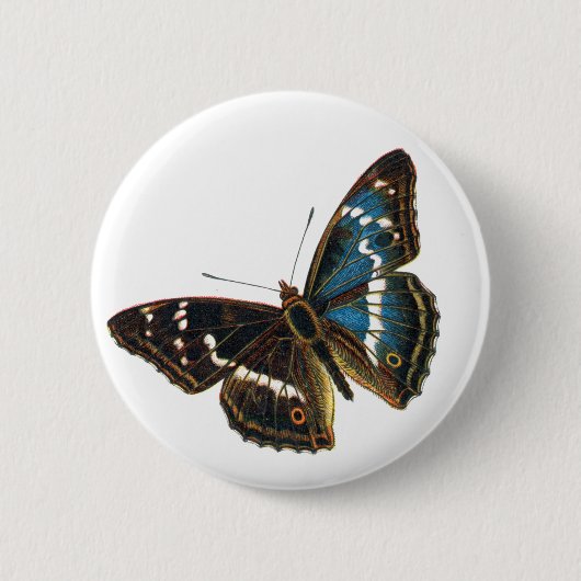 Badge Rond 5 Cm Apatura iris (Devant)