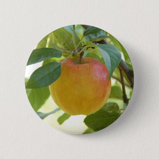 Badge Rond 5 Cm Apple Prima (Devant)