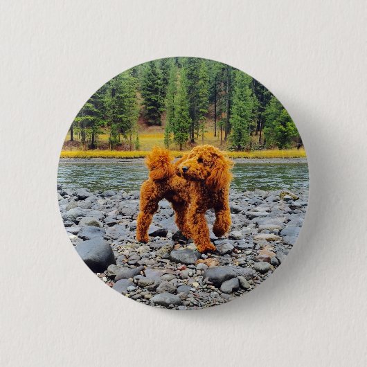 Badge Rond 5 Cm Apricot Poodle - Cadeau Personnalisable (Devant)