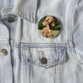 Badge Rond 5 Cm Apricot Poodle personnalisable (En situation)
