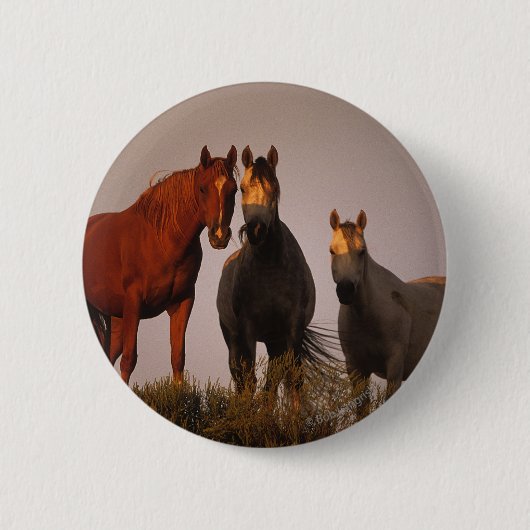 Badge Rond 5 Cm Arabes au coucher du soleil (Devant)