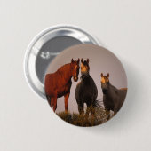 Badge Rond 5 Cm Arabes au coucher du soleil (Devant & derrière)
