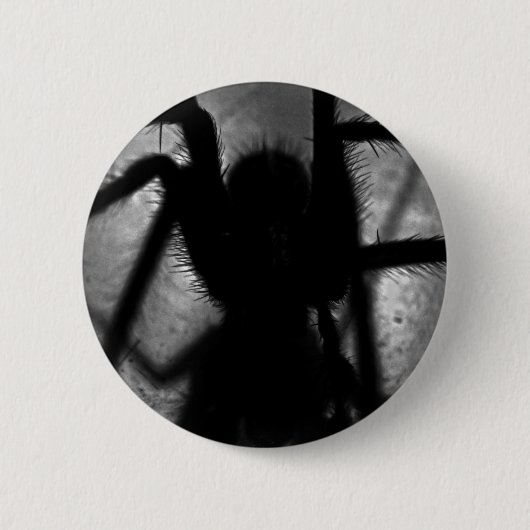 Badge Rond 5 Cm Arachnophobia… (Devant)