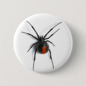 Badge Rond 5 Cm Araignée (Devant)
