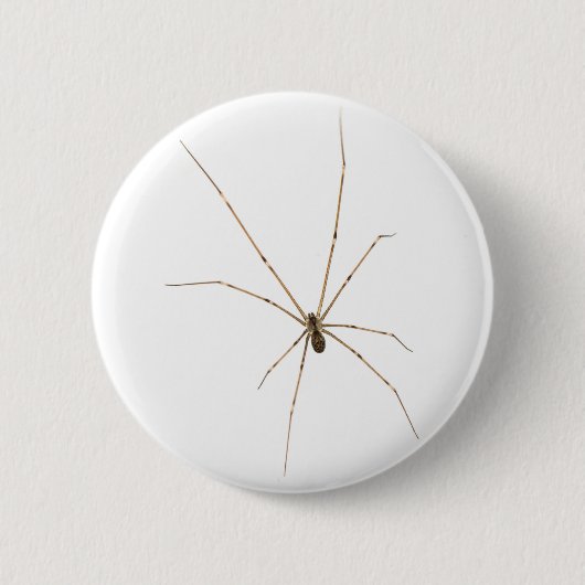 Badge Rond 5 Cm Araignée (Devant)