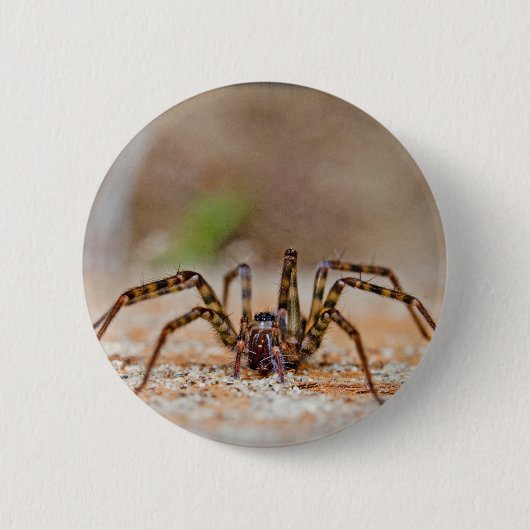 Badge Rond 5 Cm araignée a (Devant)