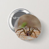 Badge Rond 5 Cm araignée a (Devant & derrière)
