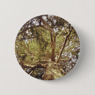 Badge Rond 5 Cm Arbre