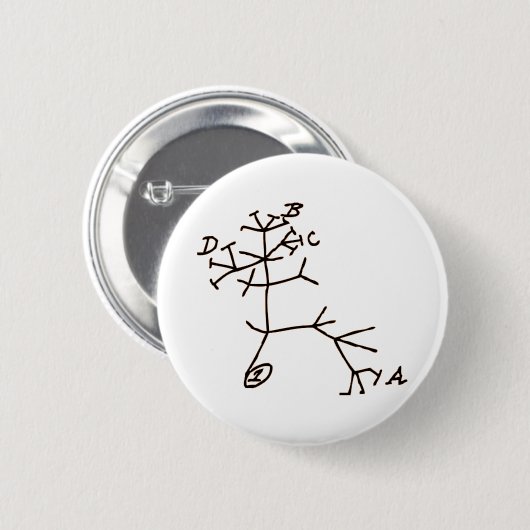 Badge Rond 5 Cm Arbre de Darwin (Devant & derrière)