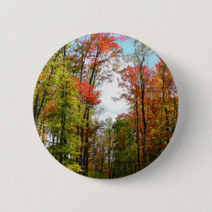 Badge Rond 5 Cm Arbres d'automne et ciel bleu Photographie de la n